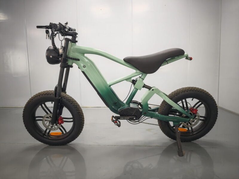 20-inch fat tire e-bike