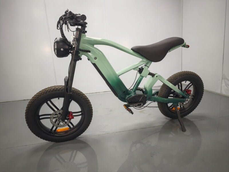 Fat tire electric bike 20 inch