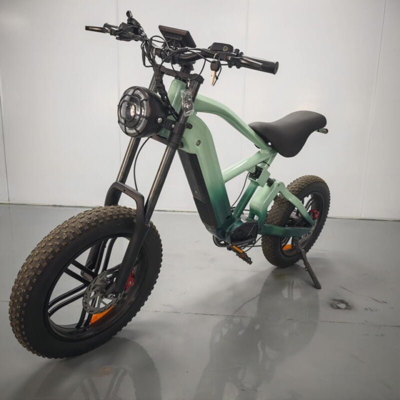 20-inch electric mountain bike