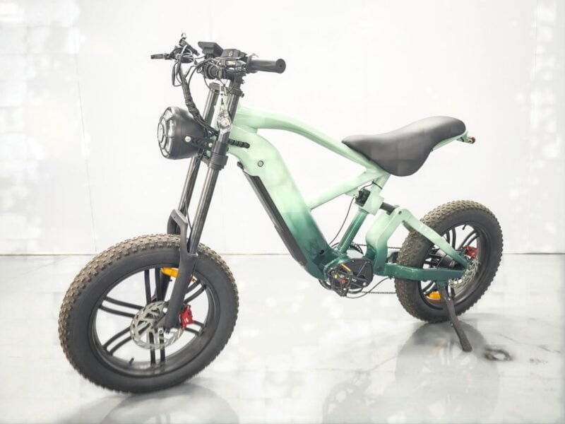 Best 20-inch fat tire electric bikes