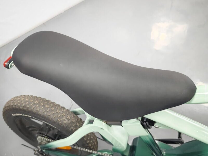 Compact 20-inch fat tire e-bike